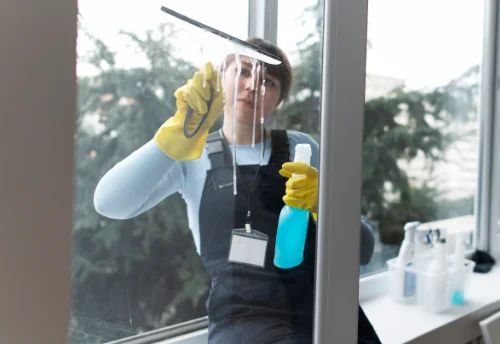 Nettoyage de vitres intérieures et extérieures à Sainte-Marie-la-Blanche